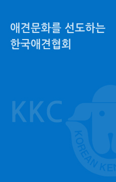 애견문화를 선도하는 한국애견협회