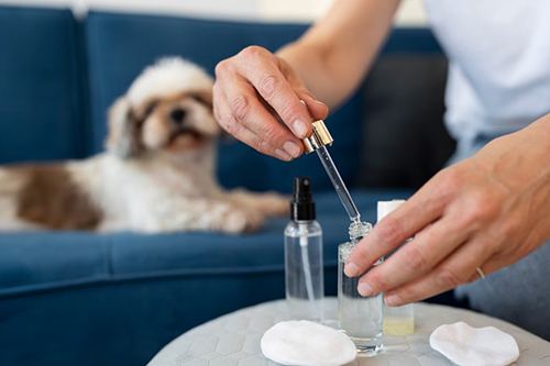반려동물아로마스페셜리스트 (Pet Aroma Specialist)