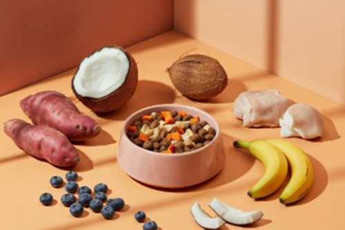 펫푸드스타일리스트 (Pet Food Stylist)