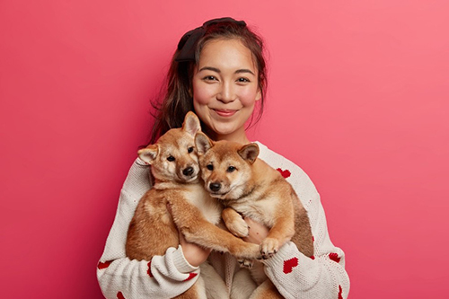 애견브리더 (Pet Breeder)
